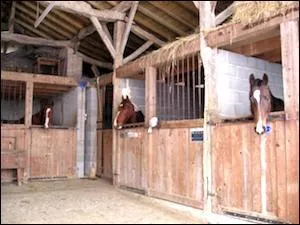 On fait le box avec...