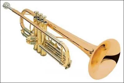 A quelle famille appartiennent la trompette et le cor ?