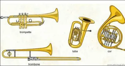 A quelle famille appartiennent ces instruments ?