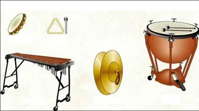 A quelle famille appartiennent ces instruments ?