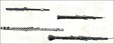 A quelle famille appartiennent ces instruments ?