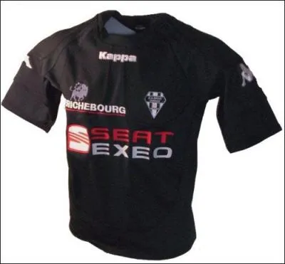 Ce maillot est celui de :