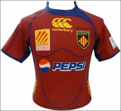 Ce maillot est celui de :