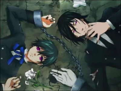 Que signifie cette image ?