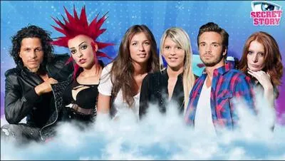 Qui sont les lus de la voix ?