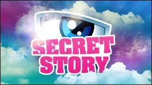 Qui a gagn Secret Story 4 ?