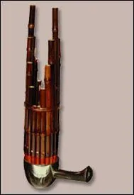 Quel est le nom de cet instrument  vent chinois ?