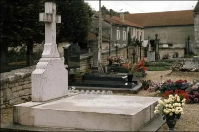 Un grand homme franais :