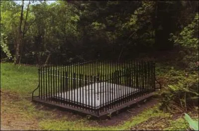 Premire tombe du Q11  :