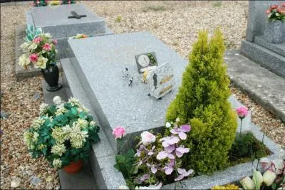 Un joyeux compre du Q 3