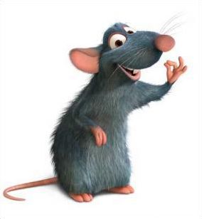 Quiz Ratatouille