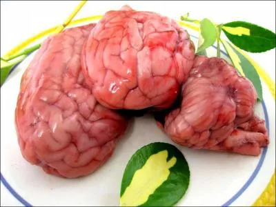 Je suis/nous sommes :