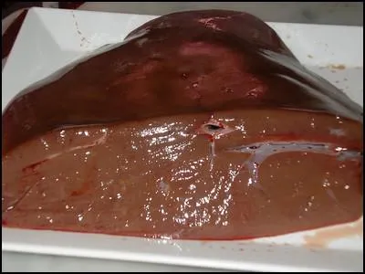 Je suis/nous sommes :