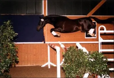 O se trouve la croupe ?