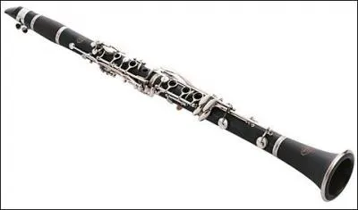 De quel instrument joue Lisa ?