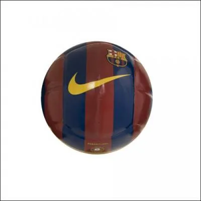Quel est le logo prsent sur le ballon ?