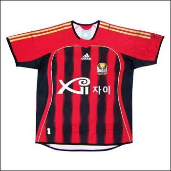 Quelle quipe porte ce maillot ?