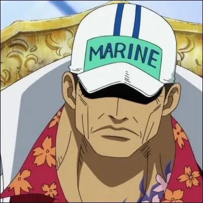 Quelle est cette personne et le pouvoir de son Fruit du Dmon ?