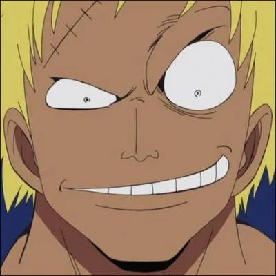 Quelle est cette personne et le pouvoir de son Fruit du Dmon ?