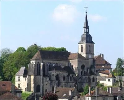 Dans quelle Neufchteau, baigne par la Meuse, pourrez-vous visiter un muse de la poupe et l'glise Saint-Nicolas ?