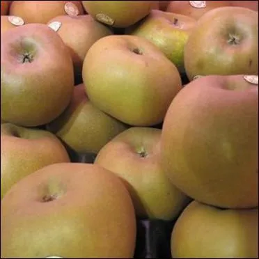 Quels sont ces fruits ?