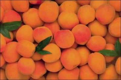 Quels sont ces fruits ?