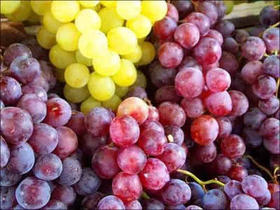 Quels sont ces fruits ?