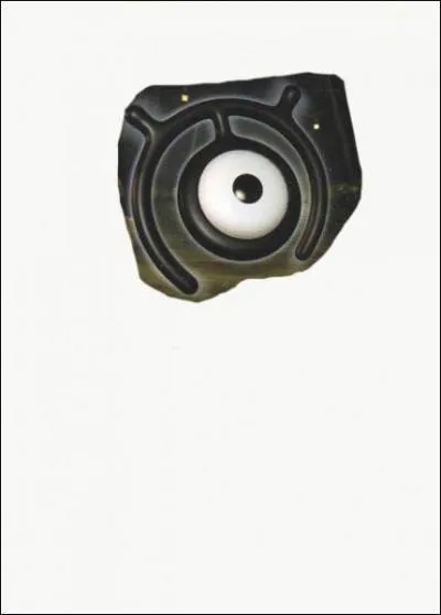 Comment s'appelle ce Zarbi ?