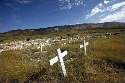 Quelle maladie ravage Hati ?