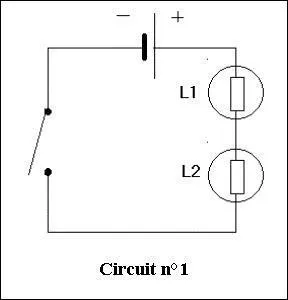 Que comporte ce circuit ?