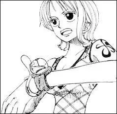 Commment s'appelle ce que porte au poignet Nami ?