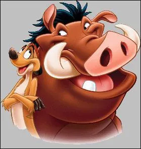 Comment s'appelle le duo qui chante 'Hakuna matata' ?