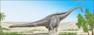 Quel est le plus long dinosaure (60 mtres) ?