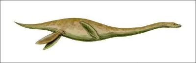 Quel est le plus grand plsiosaure (20 mtres) ?