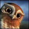 Qui est cette chouette ?
