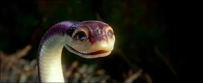 Et sinon , qui est-ce ?