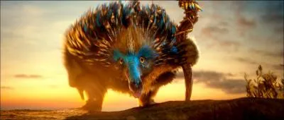 De quelle espce est-il ?