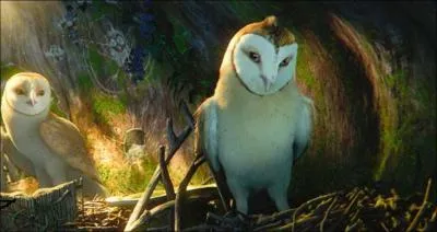 Pourquoi Soren et Kludd ont-ils t enlevs ?