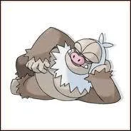 Combien de fois volue-il ?