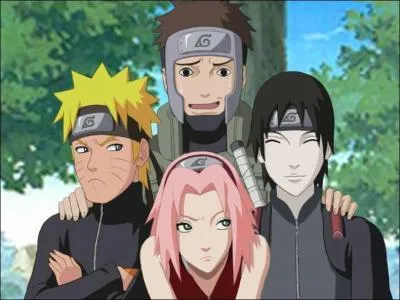 De quelle organisation Yamato et Sa sont-ils membres ?