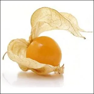 Quel est l'autre nom du Physalis ?