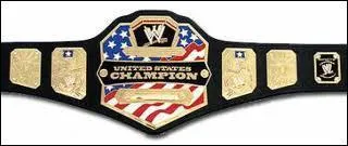 Quelle est cette ceinture ?