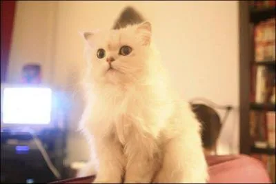 Qui tait rprsent sur les anciens billets de 500Frs ?