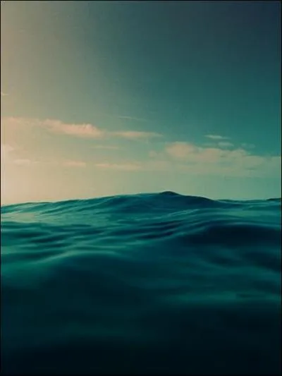 A quelle date la chane Neopodia Eco-Fi a-t-elle t lance ?