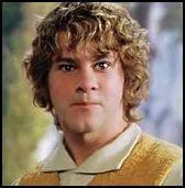 J'incarne Merry. Qui suis-je ?