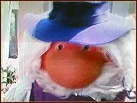 Cette marionnette au gros nez passait son temps dans sa serre et adorait papoter avec sa poule, c'est...