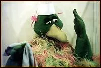 Quel est le nom de cet oiseau vert qui s'interrogeait sur le monde moderne et philosophait avec l'accent du sud ?