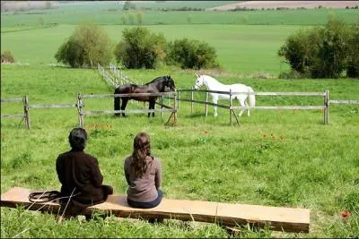 Qui joue dans le film 'une hirondelle a fait le printemps' ?