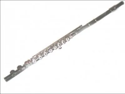 Quel est cet instrument ?