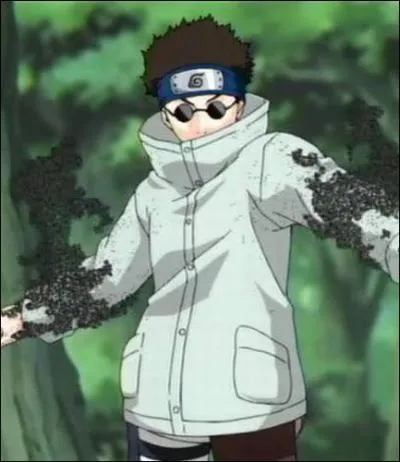 Il fait quipe avec Hinata et Kiba et c'est aussi le ninja le plus secret de Konoha, j'ai nomm :